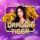 phpwin Dragon Tiger live-casino